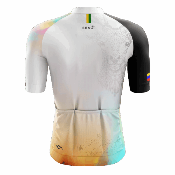 JERSEY DE NARIÑO - Imagen 2