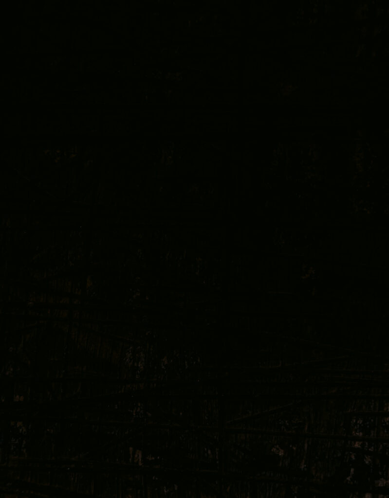 banner 02